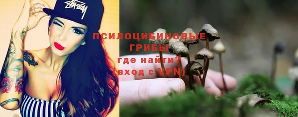 винт Михайловка